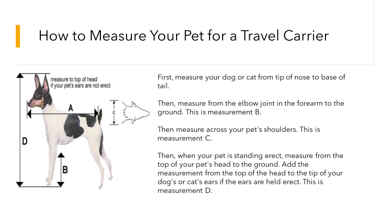 How to Measure Your Pet for a Travel Carrier